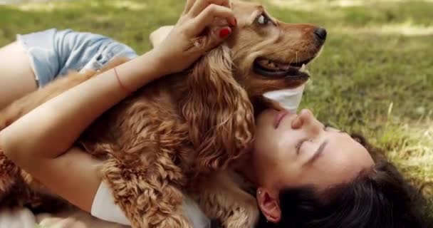Wanita Yang Bahagia Berpelukan Dan Bersenang Senang Dengan Anjing Spaniel — Stok Video