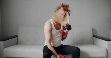 Komik ev egzersizi. At maskeli komik bir adam evdeki beyaz koltukta ağırlık çalışması için egzersiz yapıyor. Evde komik bir spor salonu var. Komik Sağlık ve Spor Konsepti. Esprili esnemeler..