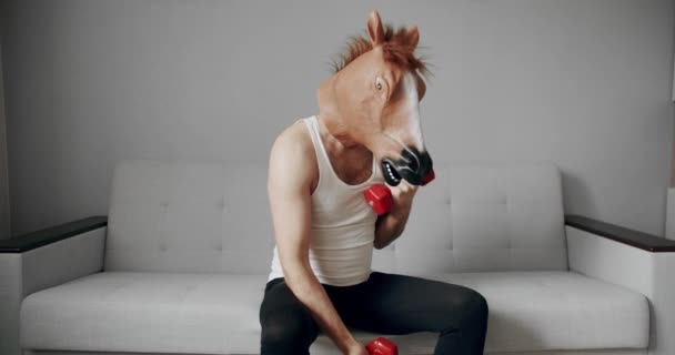 Rolig Hemmaträning Rolig Man Med Hästmask Som Tränar Med Vikter — Stockvideo