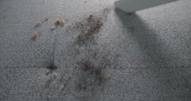 Bilinmeyen bir adam oturma odasında elektrikli süpürgeyle kumaş kanepeyi temizliyor. Tekstil kanepesinde beyaz elektrikli süpürge. Modern elektrikli süpürge. Dairelerin temizlenmesi, ofis kavramı.