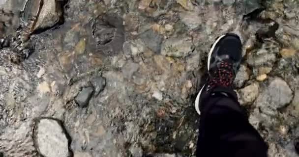 スポーツハイキングブーツの人の足の上のビューは 屋外の山の石の上を歩いて川クリークを渡ります 自然の中でハイキングをする男 旅行とトレッキングのコンセプト アクティブライフスタイル — ストック動画