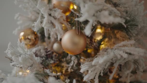 Χριστουγεννιάτικο Δέντρο Λευκά Χιονισμένα Κλαδιά Διακοσμημένα Χρυσές Μπάλες Και Λαμπερή — Αρχείο Βίντεο