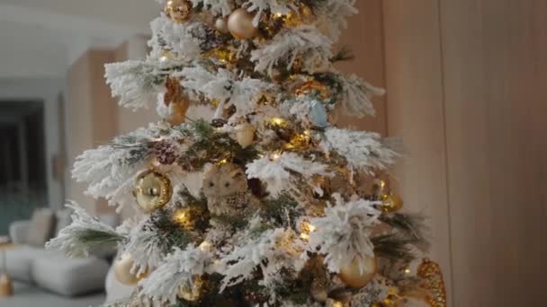 精致的圣诞树 灯饰花环 客厅装饰 舒适的家 装饰华丽的冷杉树 准备度假 新年概念 — 图库视频影像