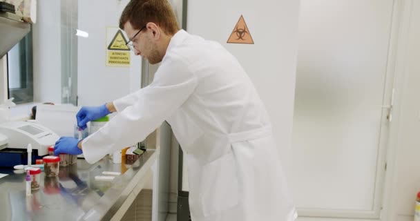 Técnico Laboratorio Que Investiga Bioquímica Hospital Asistente Laboratorio Que Trabaja — Vídeo de stock