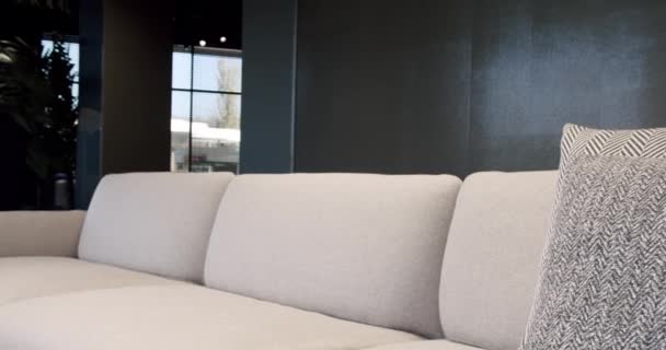 Modern Contemporary Minimalist Living Room Beige White Furniture Luxury Modern — Stock Video