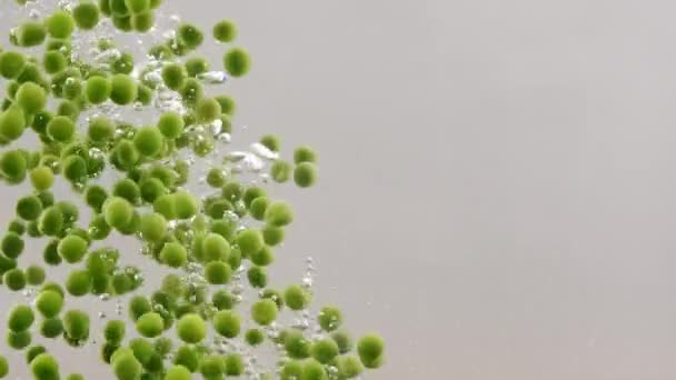 Green Peas Falling Boiling Water Slow Motion Fresh Green Peas — Stock video