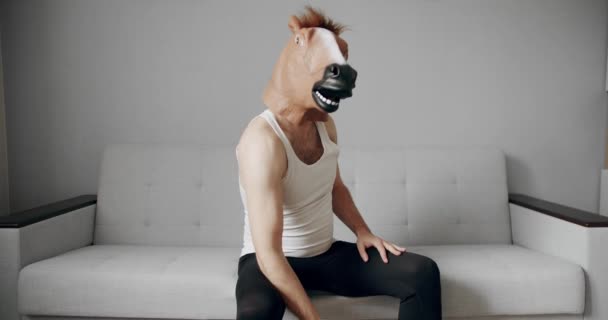 Αστείος Άνθρωπος Μάσκα Αλόγου Κάνει Άσκηση Βάρη Για Την Κατάρτιση — Αρχείο Βίντεο