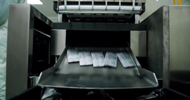 自動ブリスター包装機 製薬業界のブリスター包装ライン 医薬品製造について 製薬プラント工場の包装コンベヤのタブレット — ストック動画