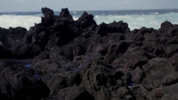 Orilla Del Océano Está Bordeada Numerosas Rocas Creando Hermoso Paisaje — Vídeos de Stock