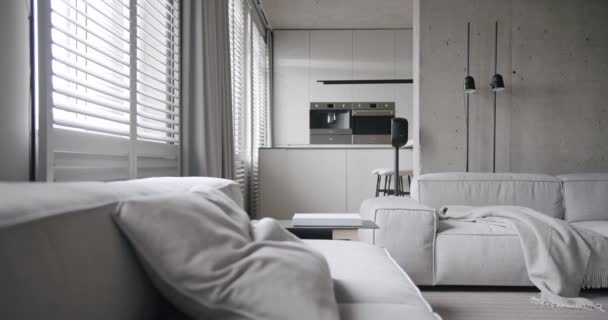 편안한 소파에 누워있는 거실과 여자의 현대적인 인테리어와 주말에 격자와 베개와 — 비디오