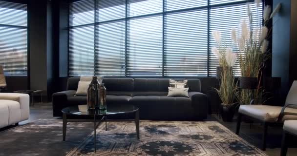 Sala Estar Con Interior Moderno Cómodo Sofá Con Cojines Jarrones — Vídeos de Stock