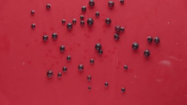Fresh berries falling on wet surface in dark studio. Slow motion from above static shot of black and red currants falling on red wet surface and making splashes