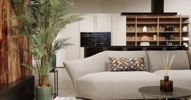 现代简约的客厅 有白色和米黄色的家具和白色厨房 奢华的现代室内装饰与白色面料索法 简约的家庭室内装饰 房地产私人住宅 — 图库视频影像