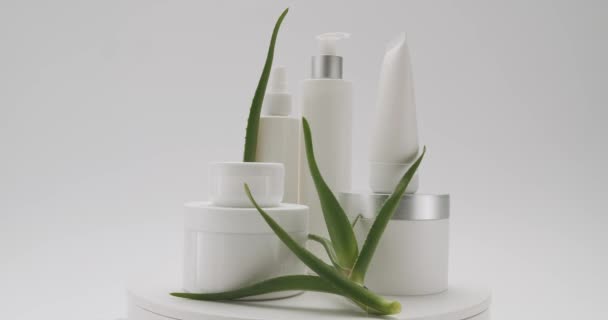 化妆品用油是以天然成分 洗涤剂 护肤为基础的 一组不同的化妆品瓶 筒与芦荟植物轮流在白色背景上进行美容处理 — 图库视频影像