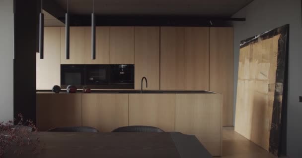 现代现代简约的设计公寓 风格别致的室内豪华厨房用材 意大利家具 现代餐厅有大桌子和椅子 简约设计 — 图库视频影像