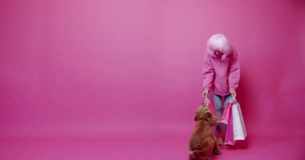 買い物袋と犬を持つ女性 カメラの前に現れる英語のコッカー スパニエルの犬とスタイリッシュな女性のショッピングの静的なショットと紙の袋を示し その後 ピンクの背景に歩いて離れて — ストック動画