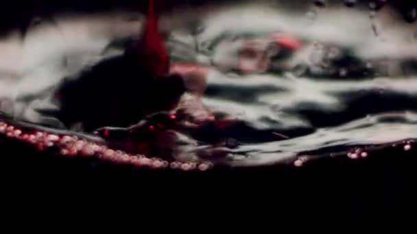 Kırmızı Şarap Güpegündüz Bardağa Doluyor Yukarıdan Gelen Yavaş Çekimde Şeffaf — Stok video