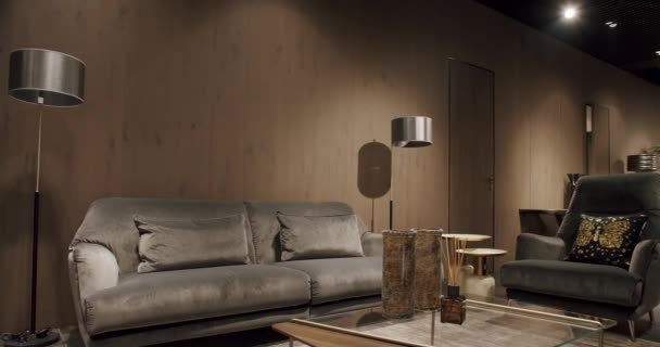 Gri Mobilyaları Tahta Duvarları Olan Modern Minimalist Oturma Odası Gri — Stok video