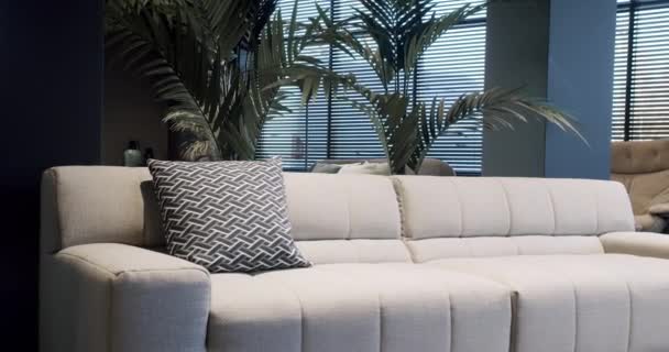 Moderno Salón Minimalista Contemporáneo Con Muebles Beige Blanco Lujosa Casa — Vídeo de stock