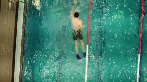 Vista Superior Los Hombres Atléticos Nadando Piscina Preparándose Para Campeonato — Vídeos de Stock