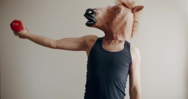 馬のマスクを持つおかしい男は 自宅の白い背景での手のトレーニングのためのウェイトで運動しています 自宅でのコミックフィットネス おかしい健康とフィットネスの概念 おかしいホームワークアウト — ストック動画