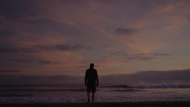 海の砂浜を歩いて日没に水に入る男性の背中を見てください 若い男性は自然を楽しんで 夏の日に海岸を歩く — ストック動画