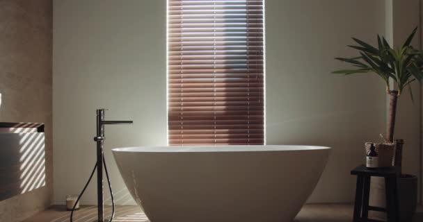 Serbest Banyo Küveti Musluğu Saksı Bitkisi Modern Dekorasyonla Banyoda Duruyor — Stok video