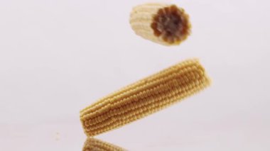 Two pieces of corn collide in the middle on a white reflective surface and isolated white background. Vegetarian food. studio shooting. Fresh corn.