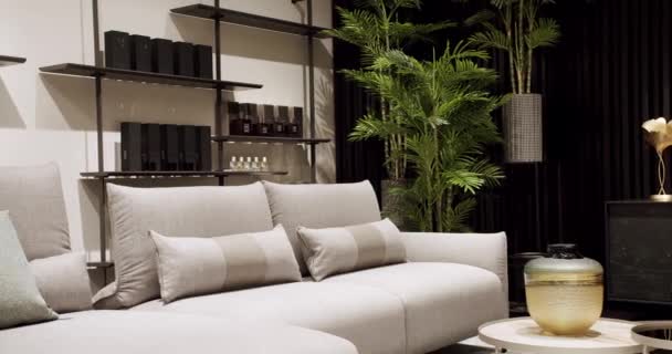 인테리어의 테이블 식물과 편안한 현대적인 가구를 럭셔리 아파트 — 비디오