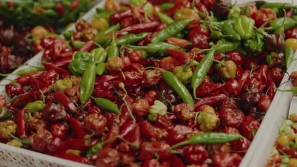 在食品市场的盒子里塞满了红辣椒 成熟的新鲜辣椒在户外销售 天然有机蔬菜 — 图库视频影像