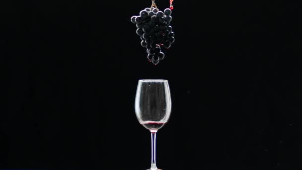 红酒倒入新鲜成熟的葡萄藤中 倒入透明的水晶杯中 置于黑色背景之下 红酒在成熟的葡萄上流动 酒水广告用精美的库存镜头 — 图库视频影像