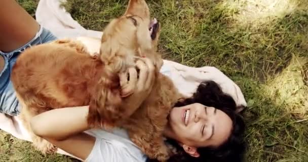 Uma Mulher Brincar Com Cão Abraços Beijar Posar Bem Inglês — Vídeo de Stock