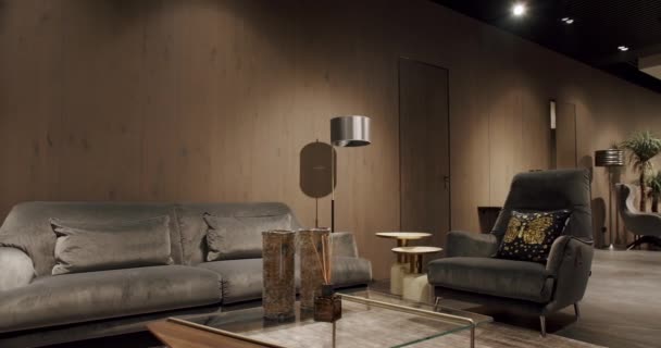 Gri Mobilyaları Tahta Duvarları Olan Modern Minimalist Oturma Odası Gri — Stok video