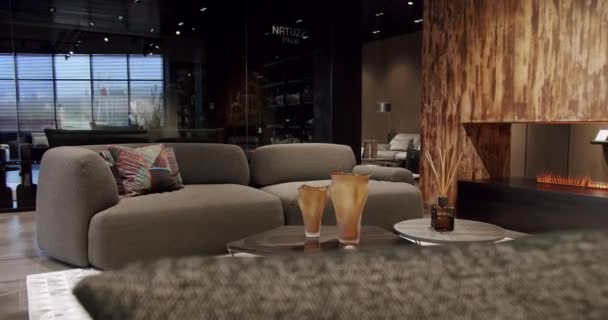 现代简约的客厅 灰色家具 奢华的现代住宅 灰色面料 椅子和书架 简约家庭内部 舒适的现代家具设计 — 图库视频影像