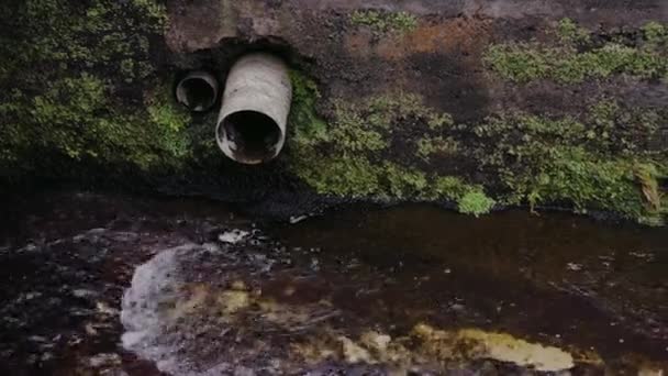 Drenaje Aguas Residuales Tubería Río Concepto Contaminación Ambiental Aguas Residuales — Vídeo de stock