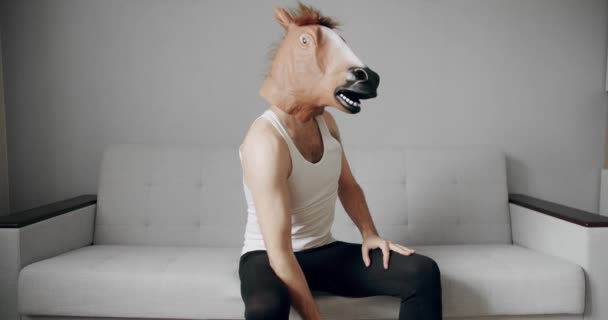 Aptidão Cómica Casa Homem Engraçado Com Máscara Cavalo Fazendo Exercício — Vídeo de Stock