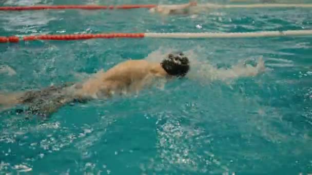 Homem Atlético Nadar Estilo Livre Piscina Treino Nadador Masculino Profissional — Vídeo de Stock