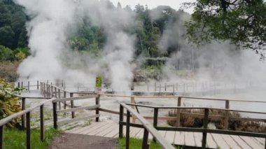 Portekiz 'in Sao Miguel adasında Furnas Gölü' nün kaplıcaları. Yeşil ağaçların manzarası, ahşap patika ve yerden gelen buhar.