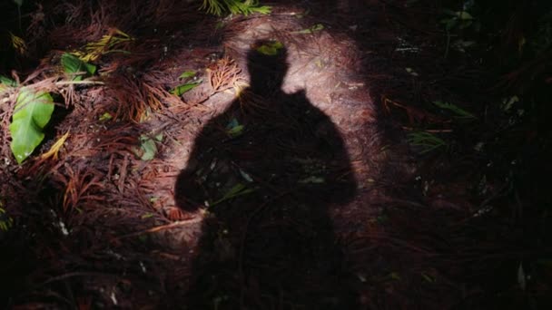 屋外の地面に影を落とした男 人々は暗い夜に森の中を歩き フラッシュライトを使って道を照らす 深い森で深夜に足跡を探している男 — ストック動画