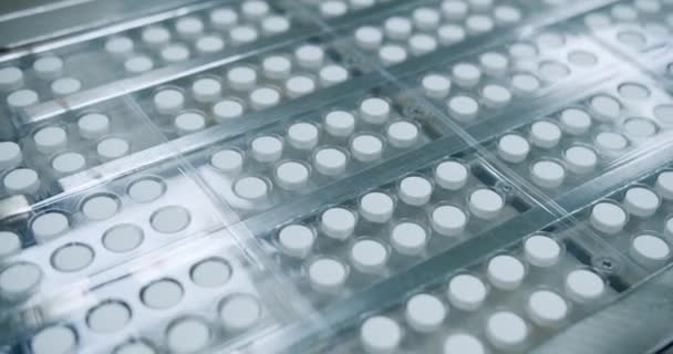 Video Che Mostra Produzione Pillole Bianche Nastro Trasportatore Una Fabbrica — Video Stock