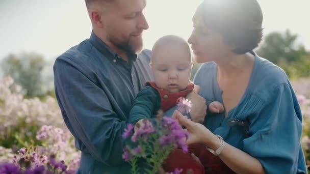 Jovem Casal Com Seu Bebê Campo Flores Desfrutando Dia Ensolarado — Vídeo de Stock
