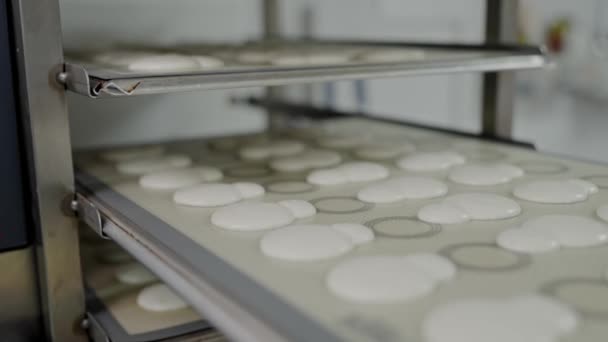 Een Bakker Schuift Een Bak Verse Ongekookte Macarons Een Industriële Rechtenvrije Stockvideo's