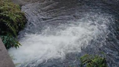 Kanalizasyon sistemi ve su atığı, nehirde akan su. Nehirdeki hızlı su akıntısı açık havada 