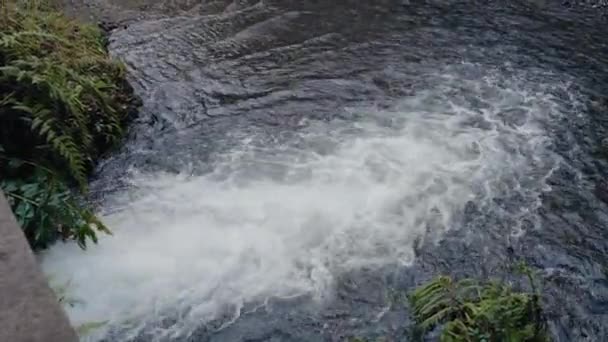 排水系统和废水 水流进河里 室外河流中的快速水流 — 图库视频影像