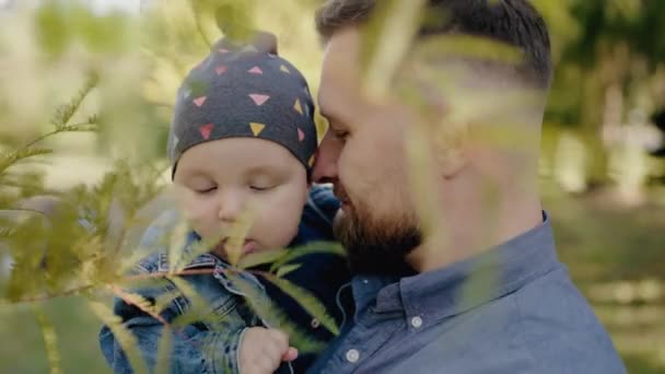 心温まるシーンは 緑豊かな緑の中で父親を愛情深く抱きしめ 絆と親の愛を象徴しています における 赤ちゃん テンダー — ストック動画