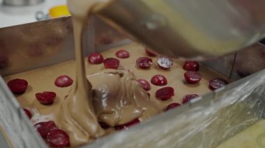 Çikolatalı dondurma karışımının yakın plan görüntüsü. Taze kırmızı üzümle birlikte bir üretim fabrikasına tat katmak için ekleniyor. Çikolatalı dondurma ve Fabrikada Taze Üzümler
