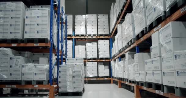 Industrial Interior Storage Room Logistics Center Interior Full Racks Large — Vídeo de stock