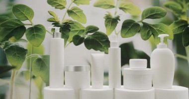 Cosmetics oils based on natural ingredients, scrub, tonic, body care. cosmetics production for skin care. Jars, bottles and tubes for cosmetics and Beauty treatment on a green petals background.