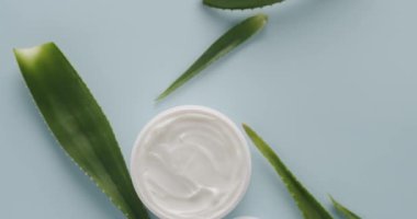 Beyaz şişeler ve aloe vera bitkisi stüdyoda açık mavi bir arka planda kozmetik için dönüyor. Doğal malzemelere dayalı kozmetik yağları, fırça, tonik, vücut bakımı.