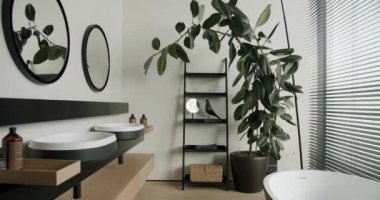 Bu resim yuvarlak aynaları, ikiz lavaboları, büyük bir bitkisi ve iyi ışıklandırılmış bir ambiyansı olan modern bir banyoyu tasvir ediyor. İç dizayn teması için ideal. Modern Banyo Tasarımı Yeşillik Gösterimi